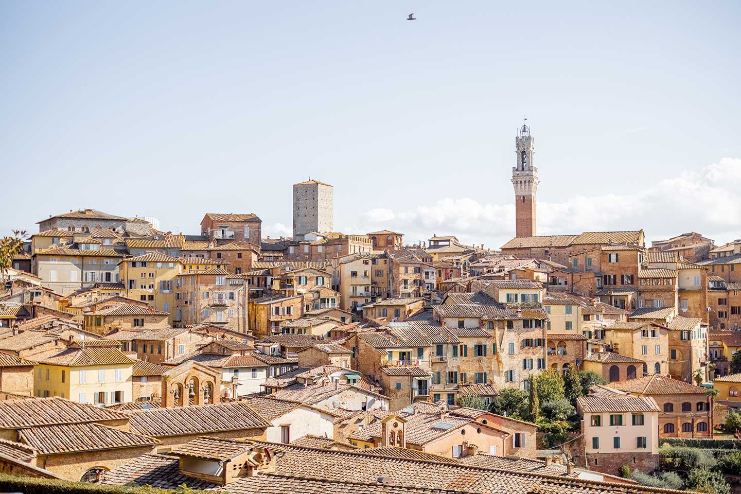 Appartamento luminoso a due passi da Piazza del Campo