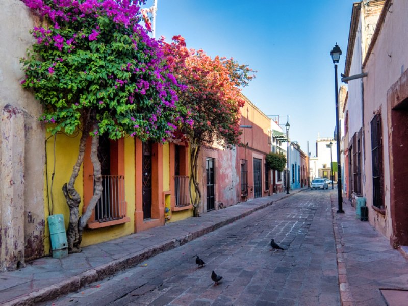 A Rustic street with windows and bougainvillea flowers in Queretaro, Mexico