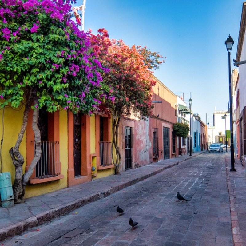 A Rustic street with windows and bougainvillea flowers in Queretaro, Mexico